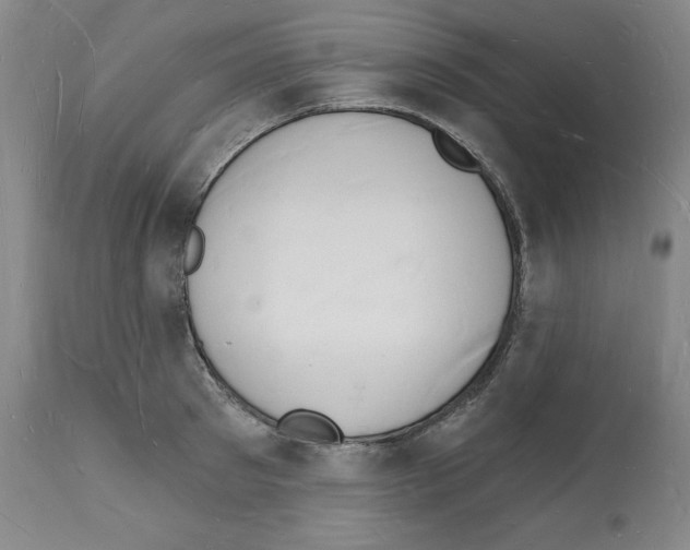 X0000112140897200909181355