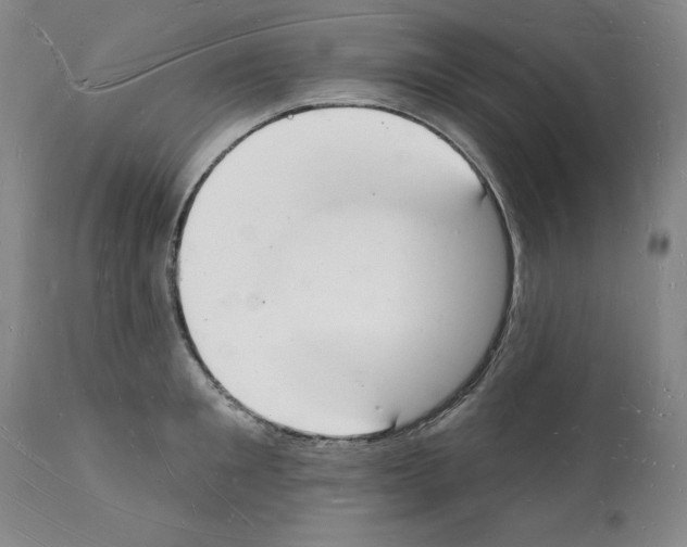 X0000112140901200909181355