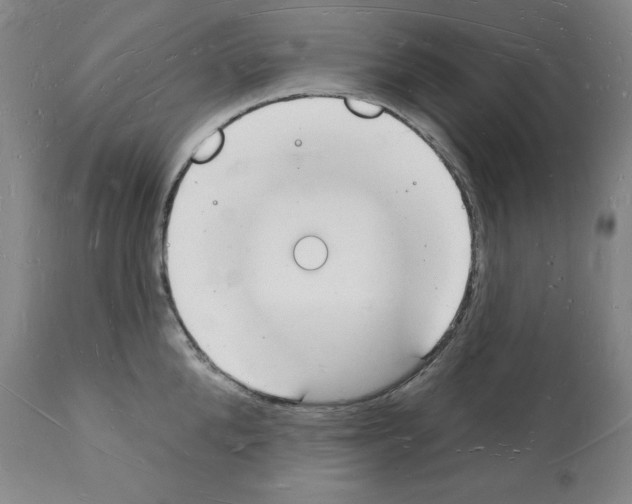 X0000112140904200909181355