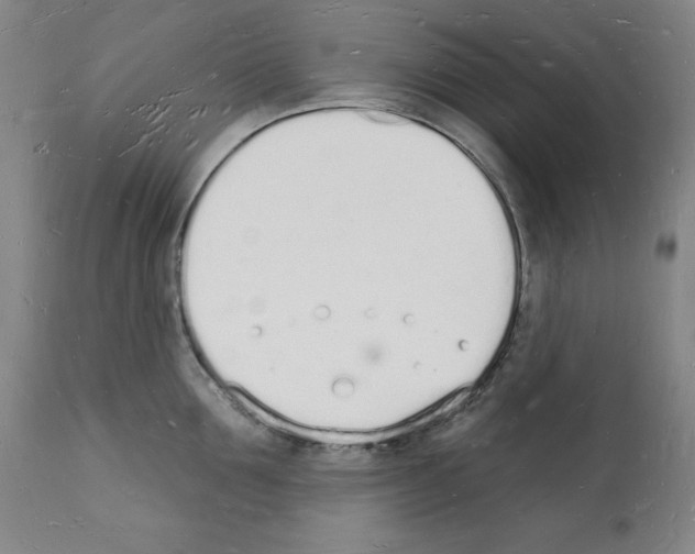 X0000112140907200909181355