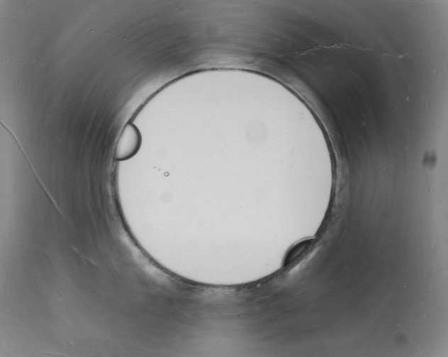 X0000112140909200909181355