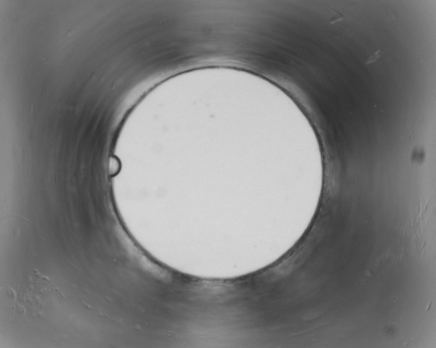 X0000112140910200909181355