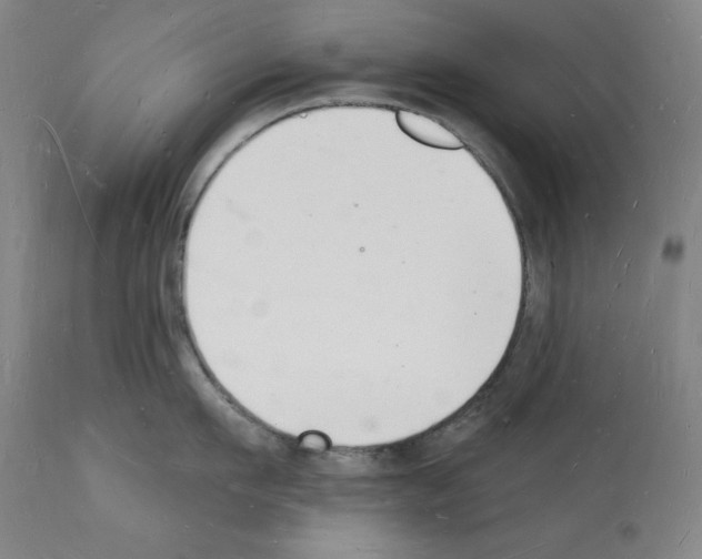 X0000112140911200909181355