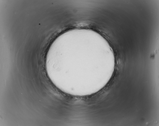 X0000112140913200909181355