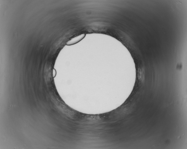 X0000112140915200909181355