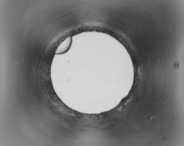 X0000112140919200909181355