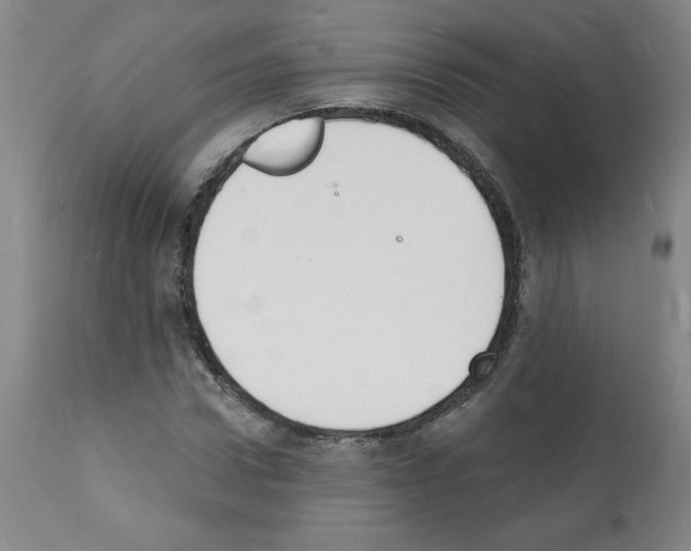 X0000112140922200909181355