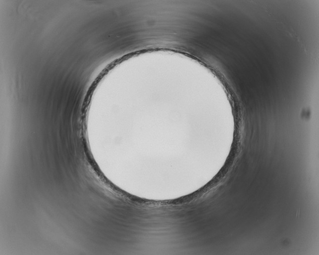 X0000112140924200909181355