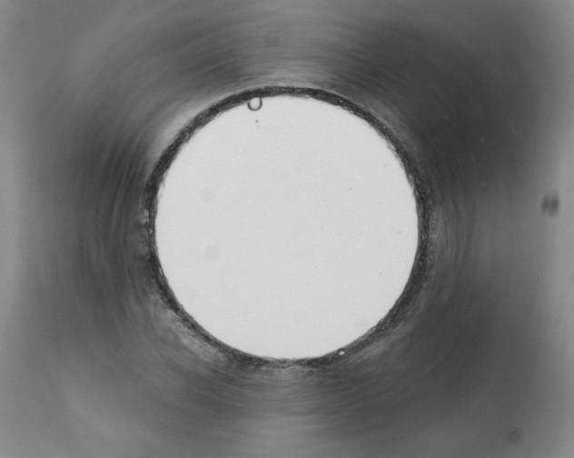 X0000112140926200909181355