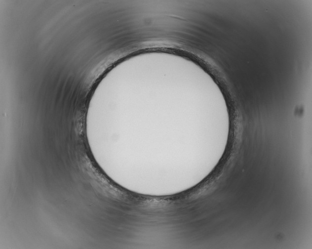 X0000112140929200909181355