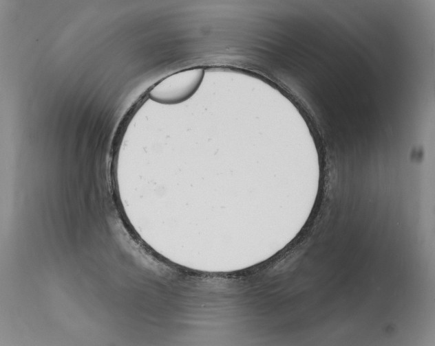 X0000112140932200909181355