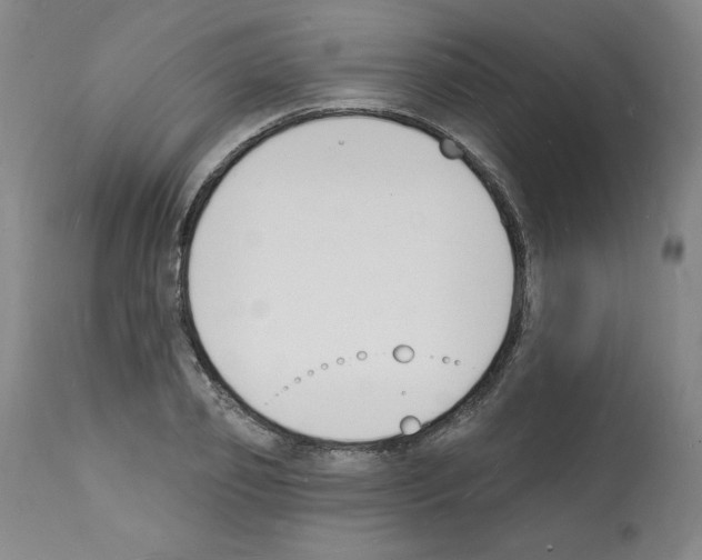 X0000112140933200909181355