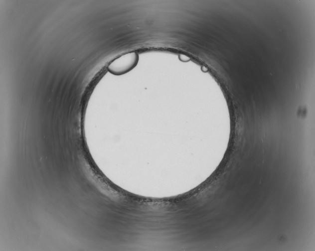 X0000112140934200909181355