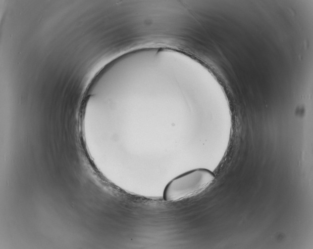 X0000112140936200909181355