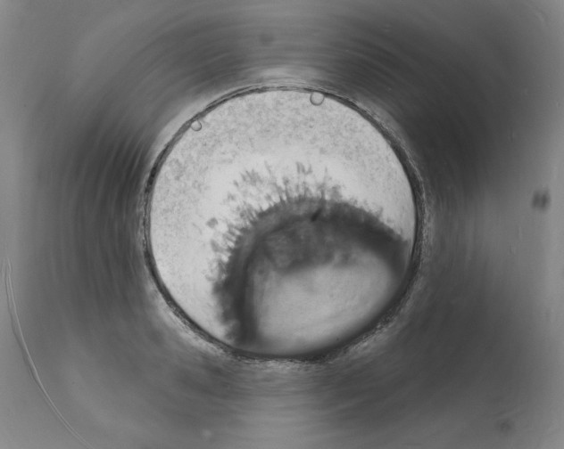 X0000112140941200909181355