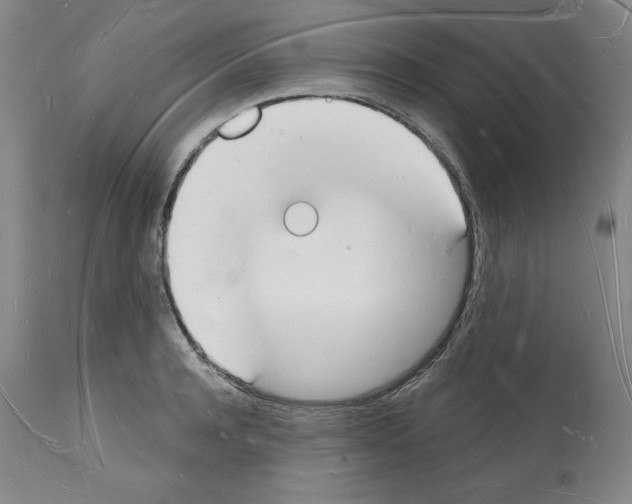 X0000112140944200909181355