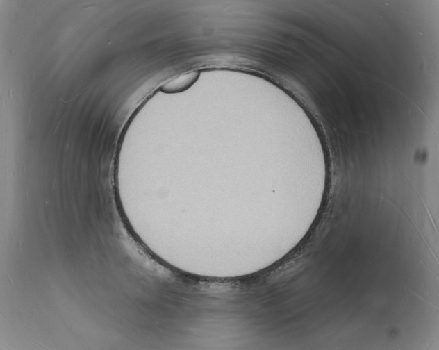 X0000112140946200909181355