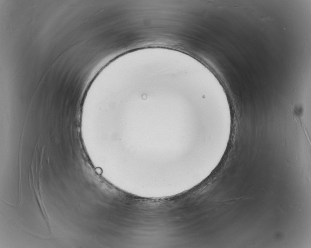 X0000112140948200909181355