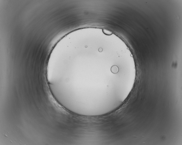 X0000112140952200909181355