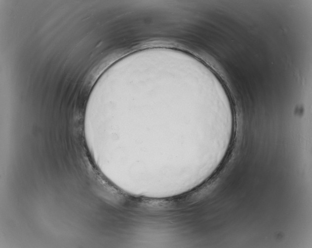 X0000112140953200909181355