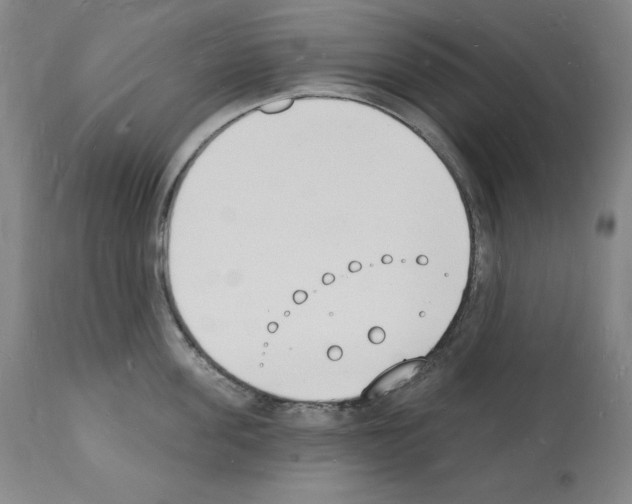 X0000112140955200909181355