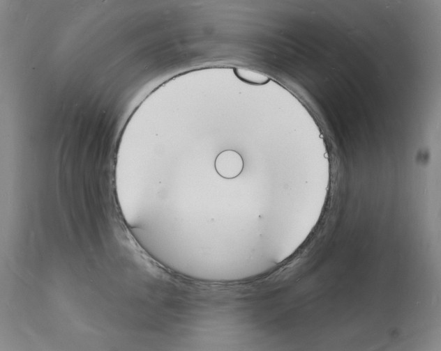 X0000112140956200909181355