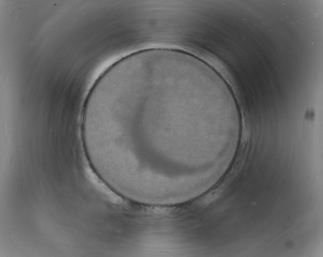 X0000112140958200909181355