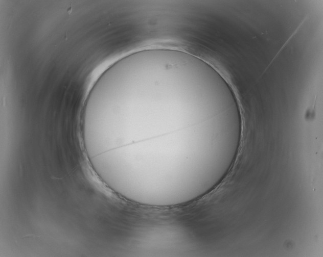 X0000112140960200909181355