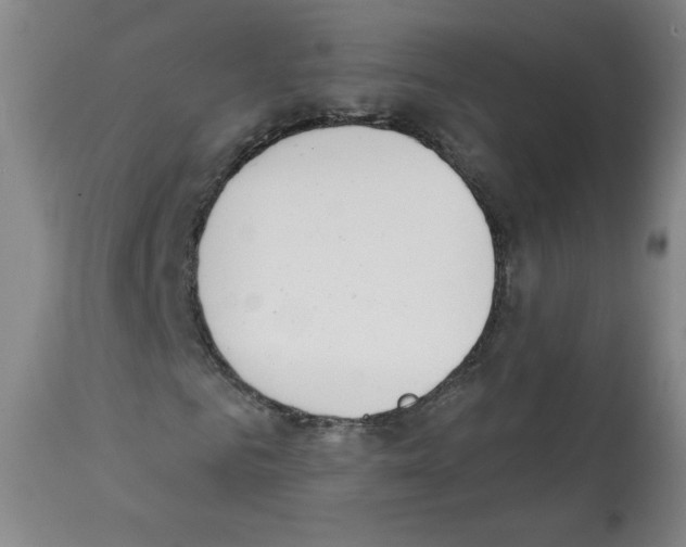 X0000112140961200909181355