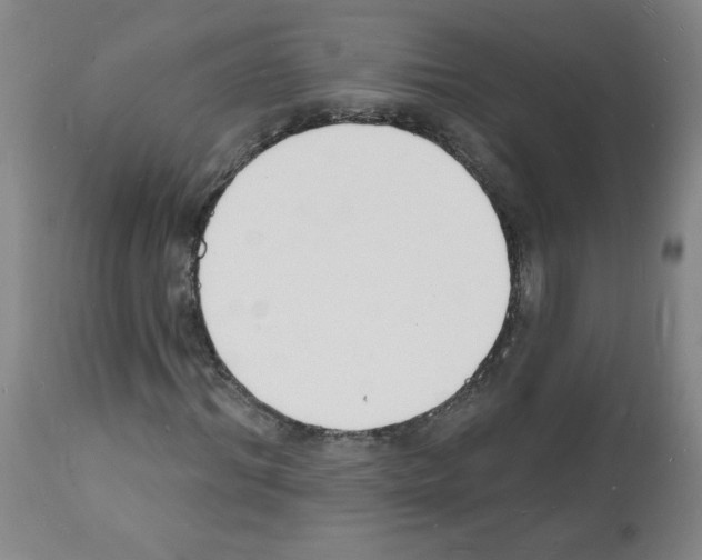 X0000112140964200909181354