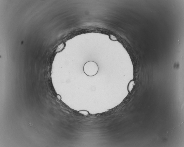 X0000112140965200909181354