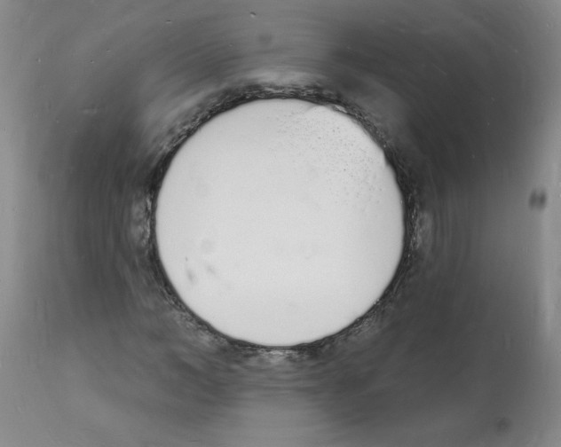 X0000112140966200909181354