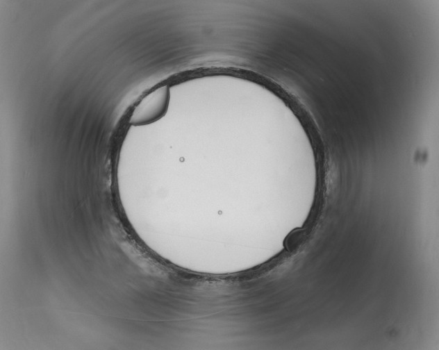 X0000112140973200909181354