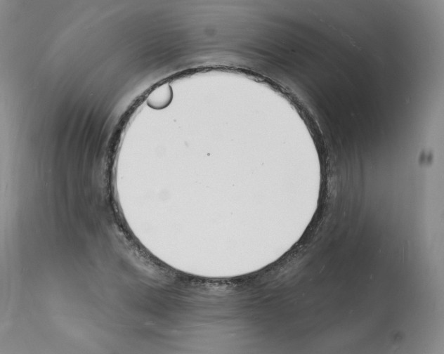 X0000112140975200909181354