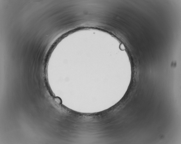 X0000112140976200909181354