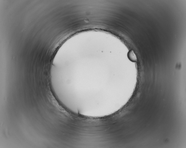 X0000112140977200909181354