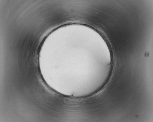 X0000112140981200909181354