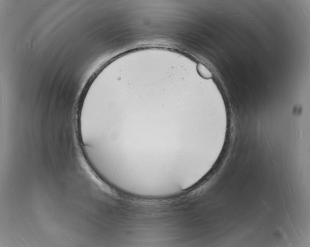 X0000112140989200909181354