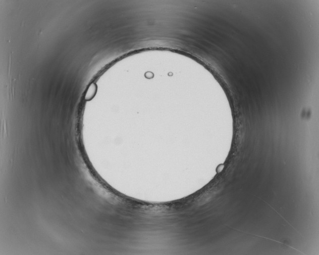 X0000112140991200909181354