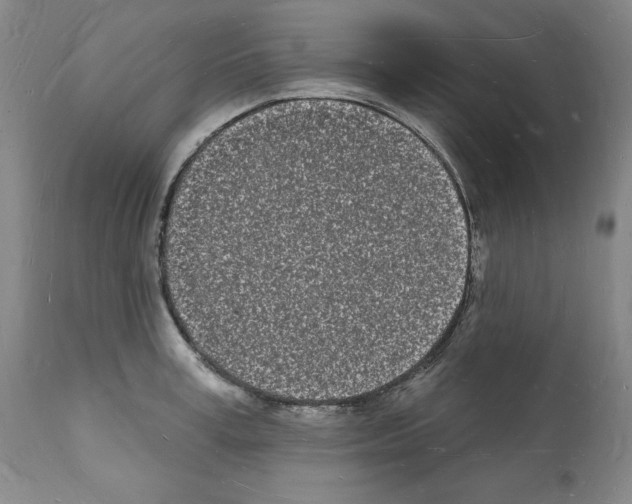 X0000112140995200909181354