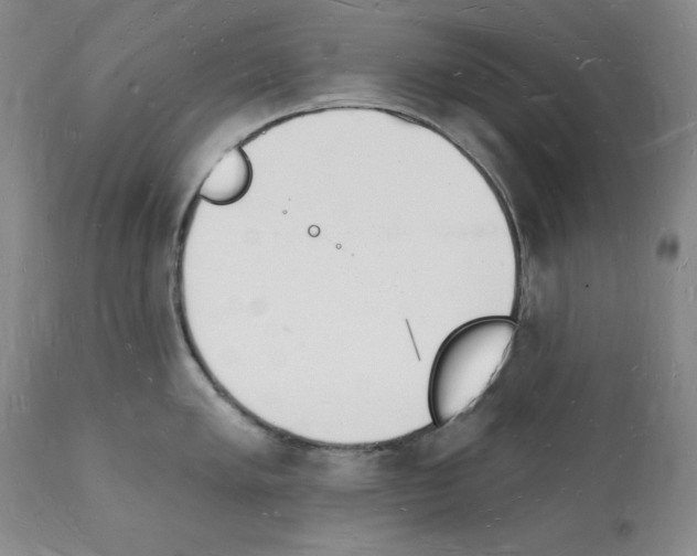 X0000112141005200909181354