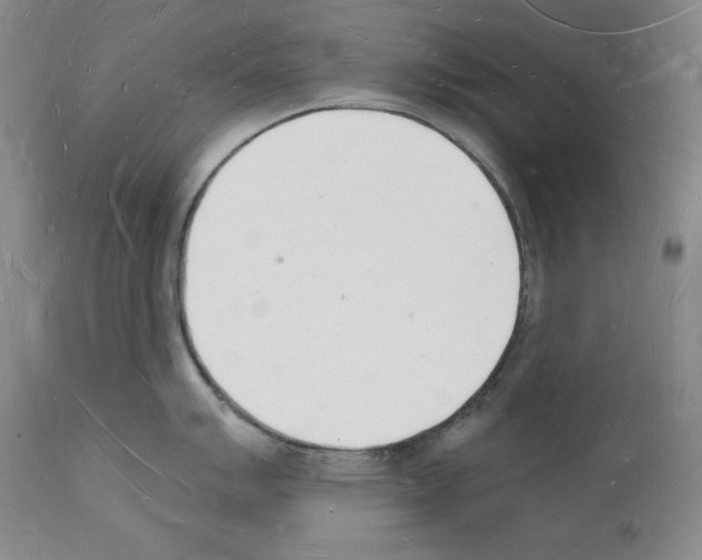 X0000112141007200909181354