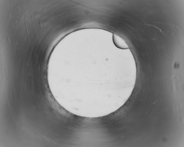 X0000112141008200909181354