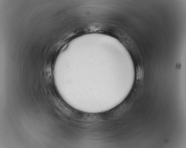 X0000112141011200909181353