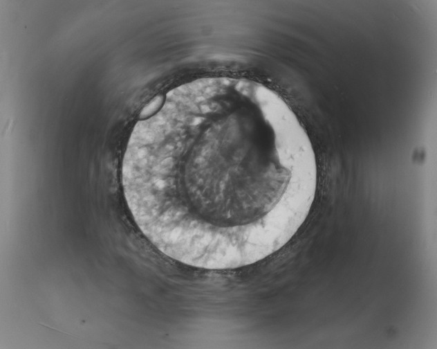 X0000112141013200909181353