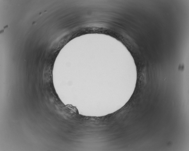 X0000112141014200909181353