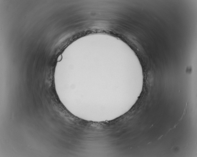 X0000112141015200909181353