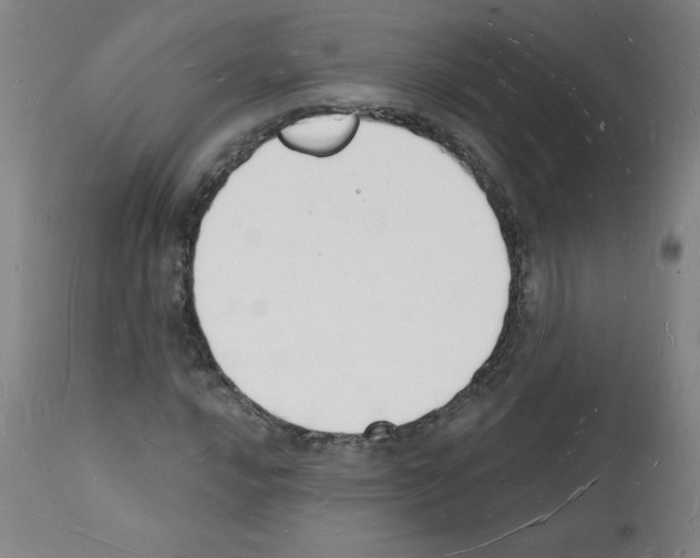 X0000112141016200909181353