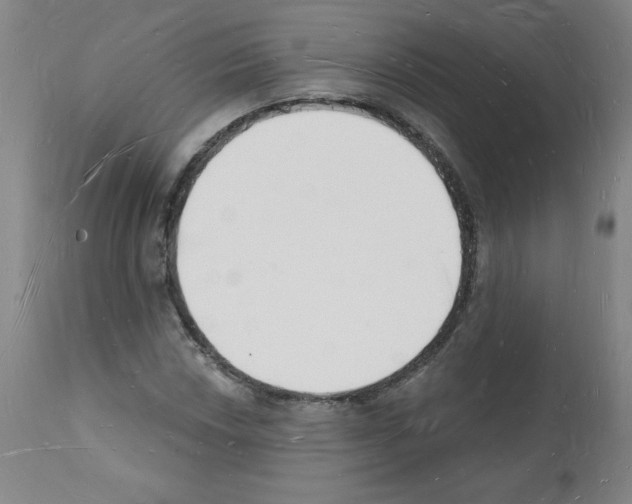 X0000112141018200909181353