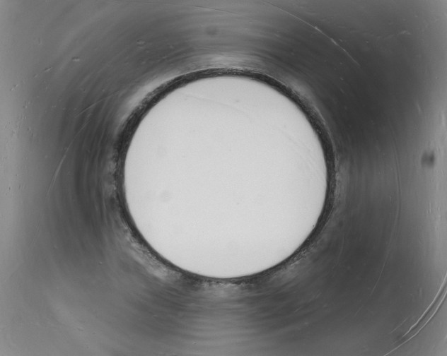 X0000112141019200909181353